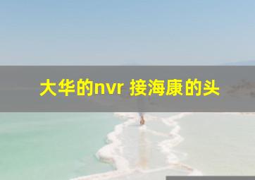 大华的nvr 接海康的头